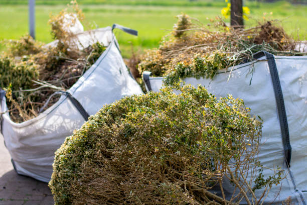 Basement Cleanout Services in Inman, SC